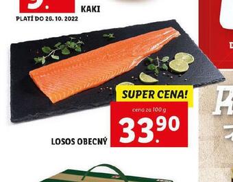 Lidl Losos obecný nabídka