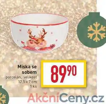 Billa Miska se sobem nabídka