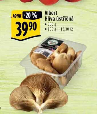 Albert Albert hlíva ústřičná • 300 g nabídka