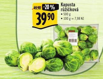 Kapusta růžičková
