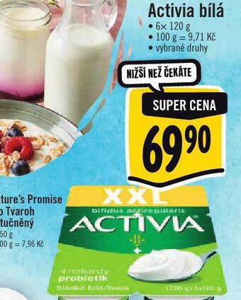 Albert Activia bílá nabídka