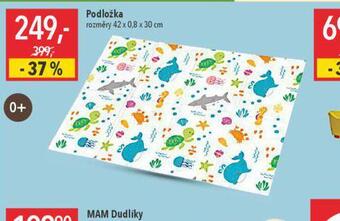 Globus Podložka nabídka