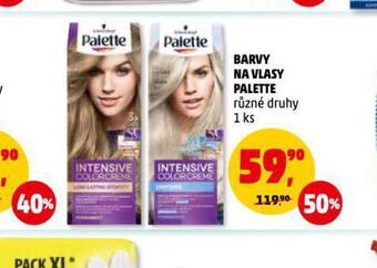 Penny Market Palette barva na vlasy nabídka