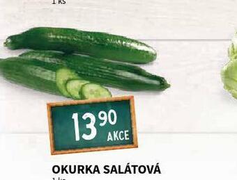 Terno Okurka salátová nabídka