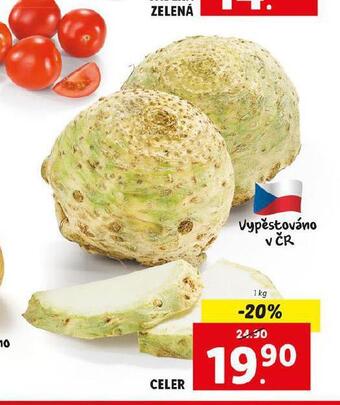 Celer