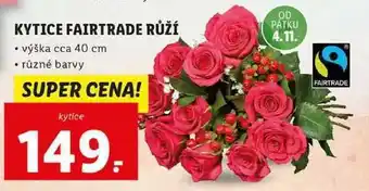 Lidl Kytice fairtrade růží nabídka