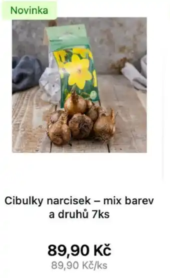 Cibulky narcisek-mix barev a druhů 7ks