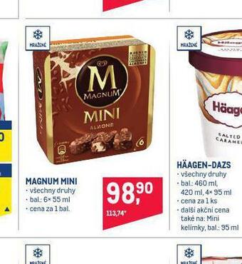 Makro Magnum mini nabídka