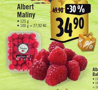Jip Maliny nabídka