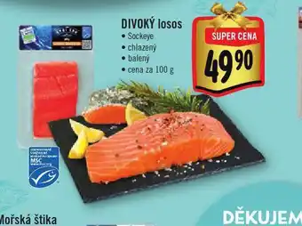 Jip Divoký losos nabídka