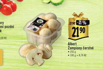 Albert Žampiony čerstvé nabídka