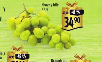 Albert Hrozny bílé nabídka