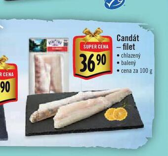 Albert Candát filet nabídka