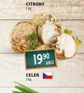 Terno Celer nabídka