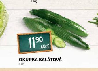 Terno Okurka salátová nabídka