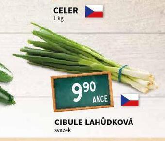 Terno Cibule lahůdková nabídka