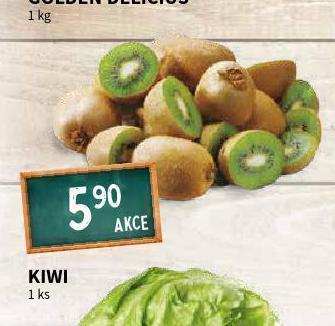 Terno Kiwi nabídka