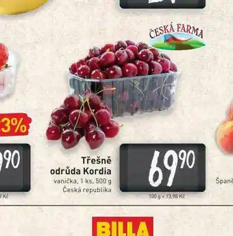 Billa Třešně odrůda kordia nabídka