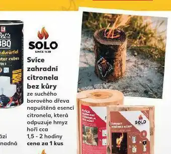 Kaufland Svíce zahradní citronela bez kúry nabídka
