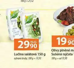 Terno Lučina salátová nabídka