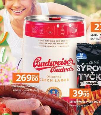 Terno Pivo budweiser budvar nabídka