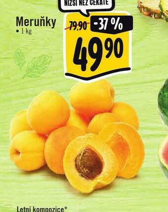 Albert Meruňky nabídka