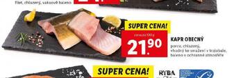 Lidl Kapr obecný nabídka
