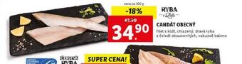 Lidl Candát obecný nabídka