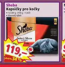 Norma Sheba kapsička pro kočky nabídka