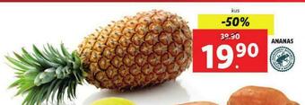 Lidl Ananas nabídka