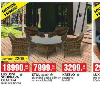 Baumax Křeslo nabídka