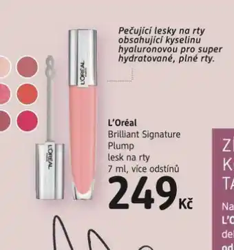 dm drogerie Loreal lesk na rty nabídka