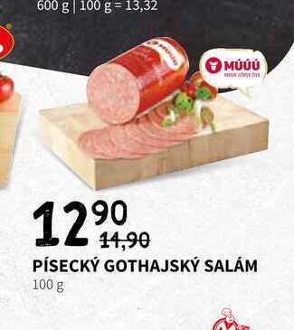 Terno Písecký gothajský salám 100 g nabídka