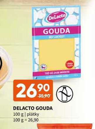 Terno Delacto gouda 100 g nabídka