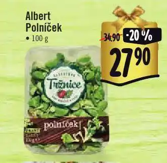 Polníček