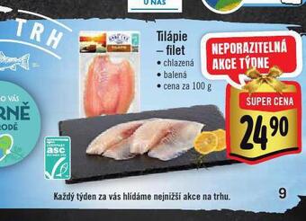 Albert Tilápie - filet nabídka