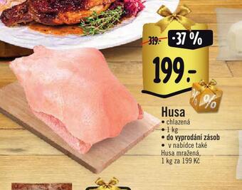 Albert Husa nabídka