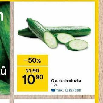 Tesco Okurka hadovka nabídka