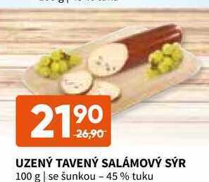 Terno Uzený tavený salámový sýr 100 g nabídka