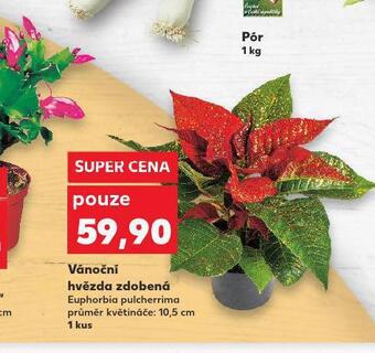 Kaufland Vánoční hvězda zdobená nabídka