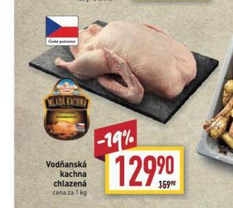 Billa Kachna nabídka