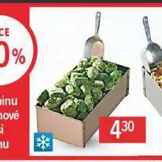 Globus Špenát mražený nabídka