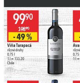 Globus Vina tarapaca nabídka