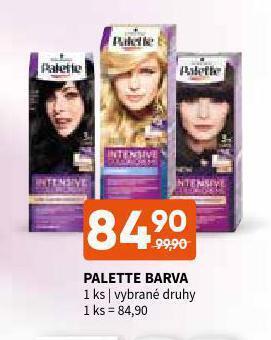 Terno Palette barva nabídka