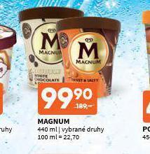 Terno Zmrzlina magnum nabídka