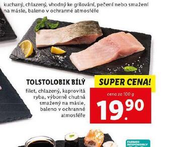 Lidl Tolstolobik bílý nabídka