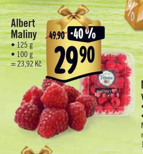 Jip Maliny nabídka