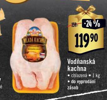 Jip Vodňanská kachna nabídka