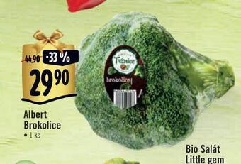 Albert Brokolice nabídka