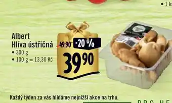 Albert Albert hlíva ústřičná  300 g nabídka